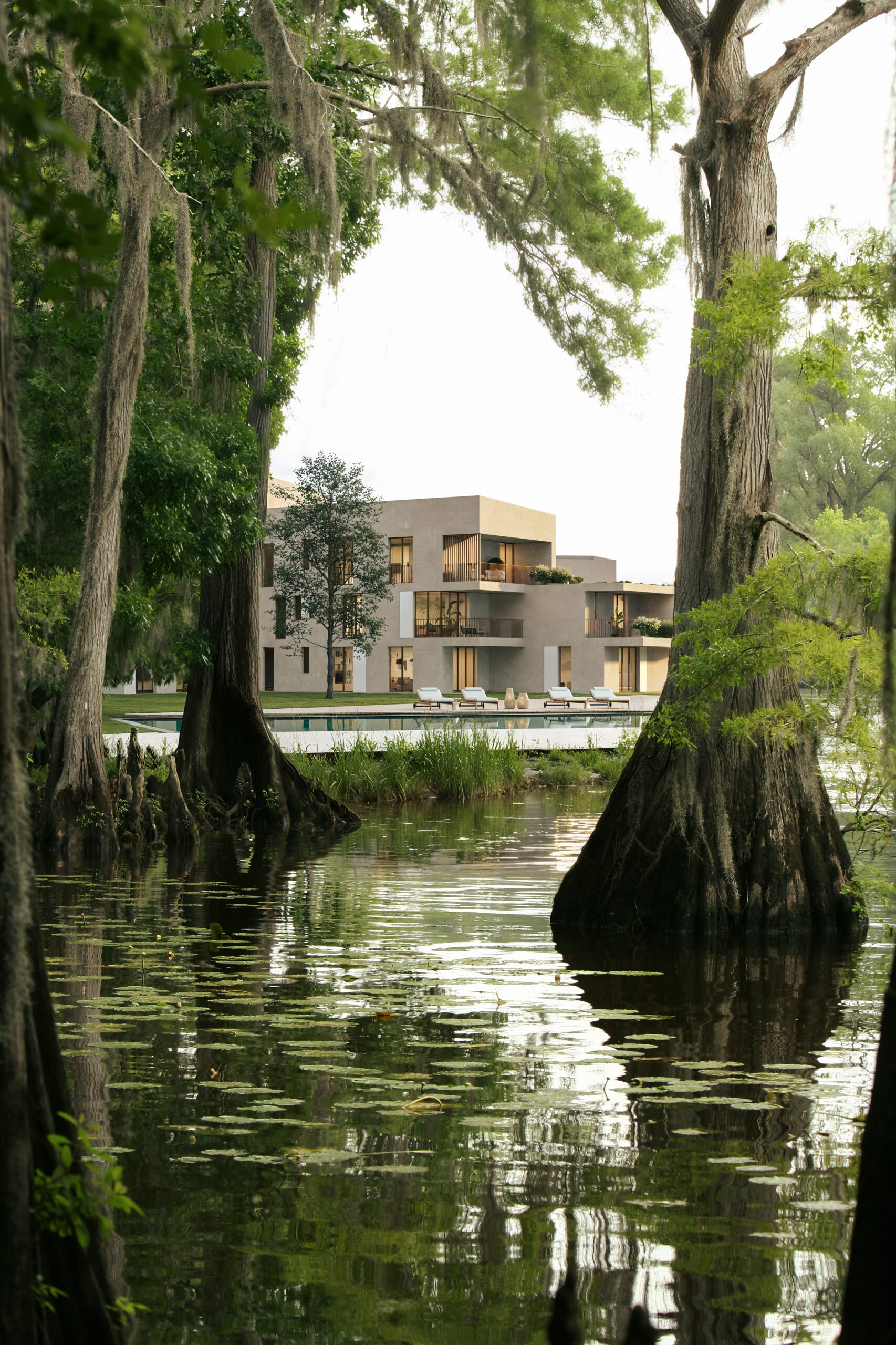 A Cypress Swamp In Louisiana /please See Some Similar Shots From My Portfolio:
